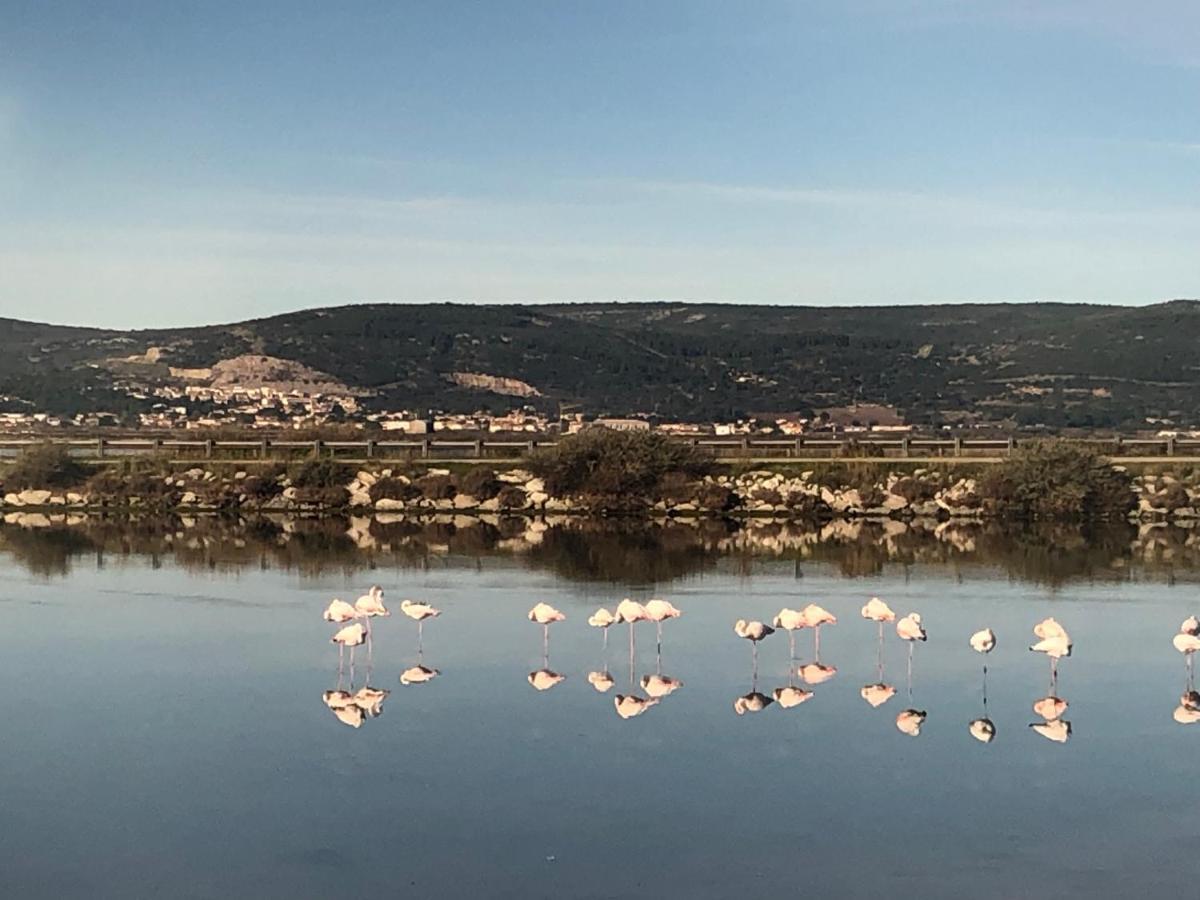 Flamants Roses 1 Pers 6 Frontignan Exteriér fotografie